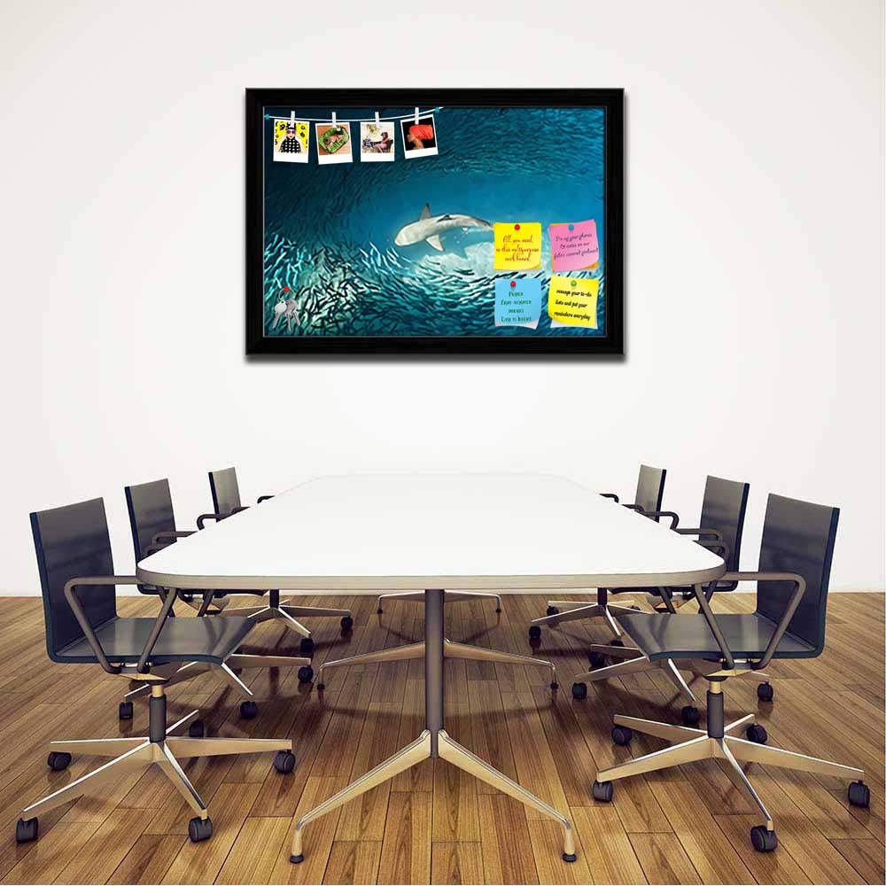 shark notice pinboard