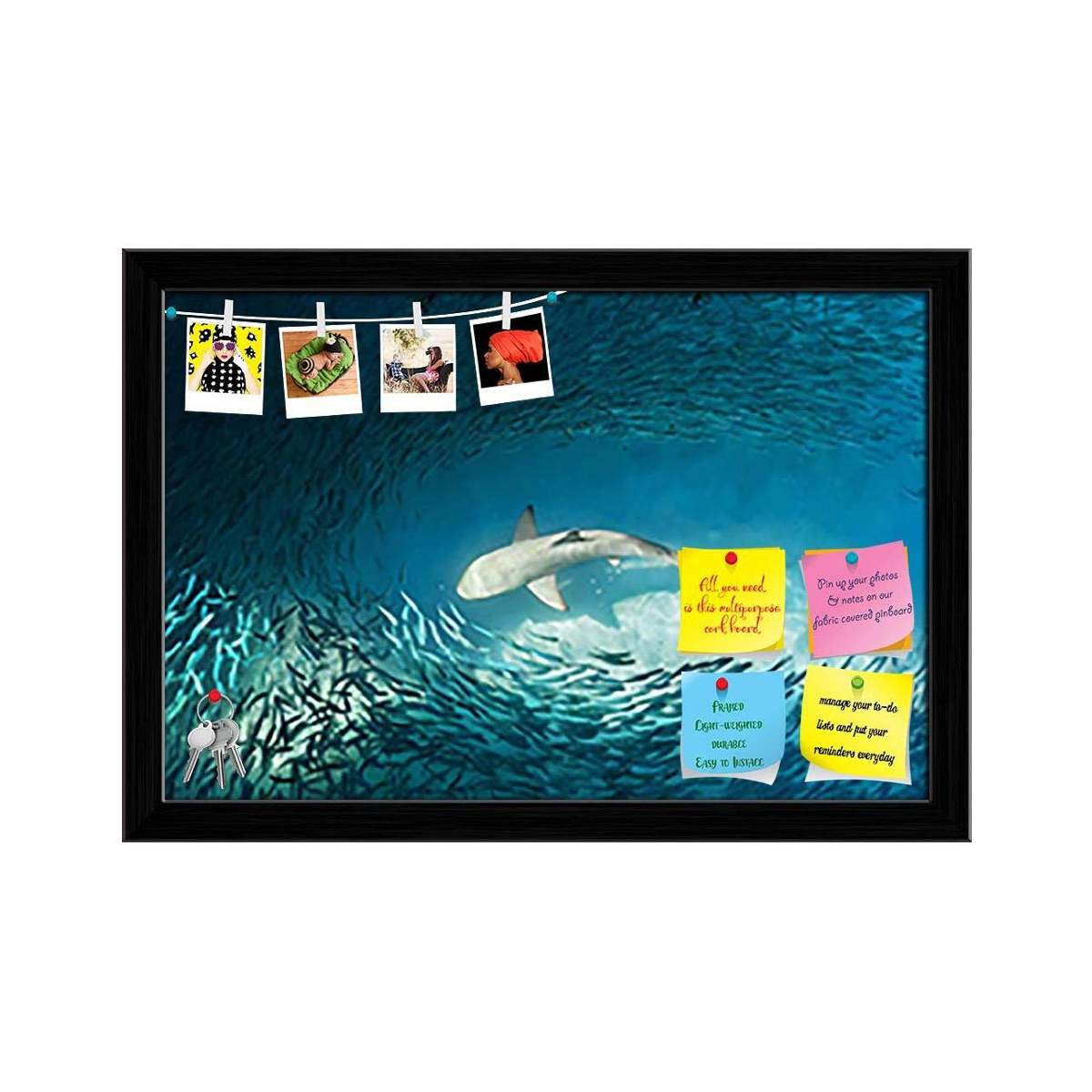 shark pinboard