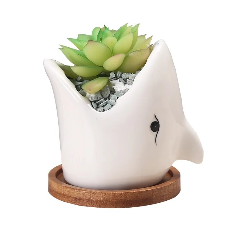 shark planter pot
